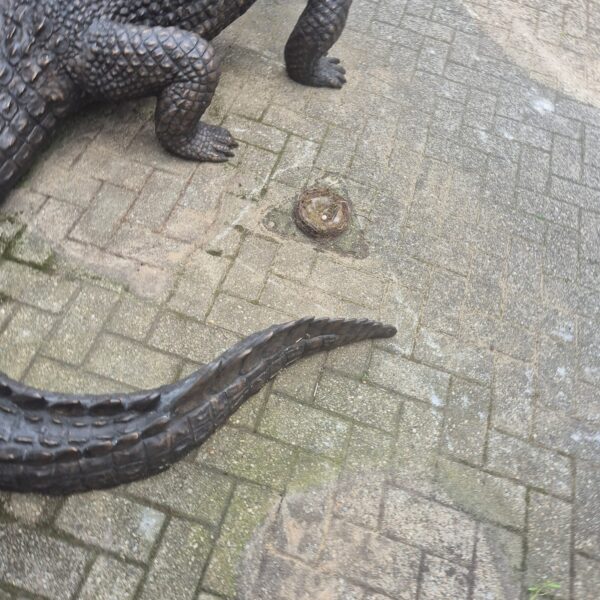 Beeld Tuinbeeld Krokodil Brons 2,10 m - Afbeelding 7