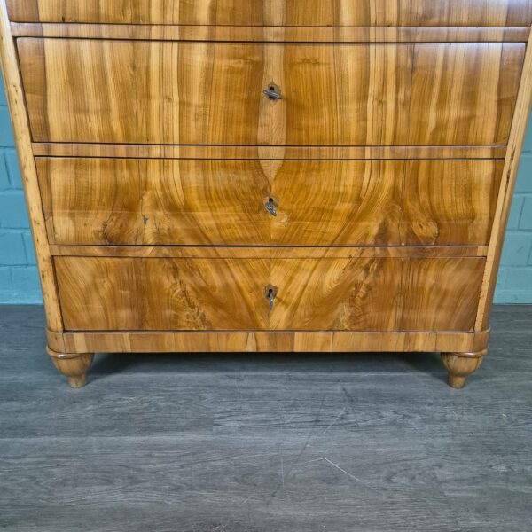 Ladenkast Biedermeier 1850 Kersen - Afbeelding 7