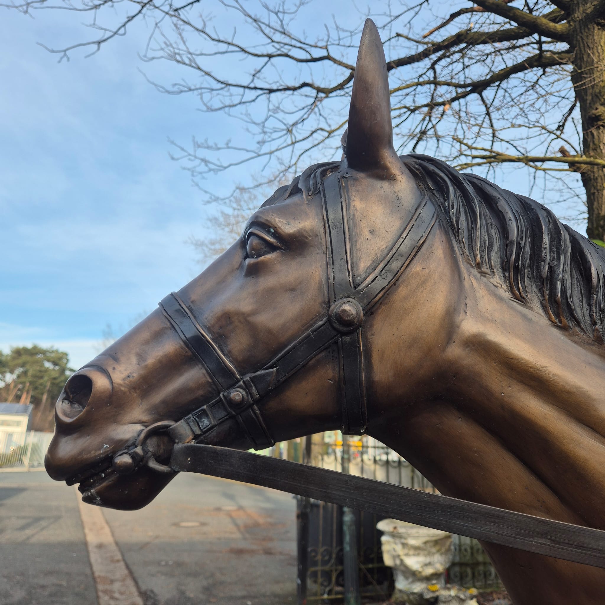 Beeld Tuinbeeld Paard met Ruiter Brons 2,10 m - Afbeelding 13